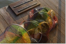 산우물낚시터 유료낚시터 > 당찬 손맛 풍요로움이 함께하는 산우물낚시터 : 낚시사랑 산우물낚시터 유료낚시터 > 당찬 손맛 풍요로움이 함께하는... 