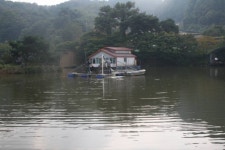 개나리낚시공원 유료낚시터 > 2023년 10월 2째주 주말조황 및 어자원 방류 : 낚시사랑