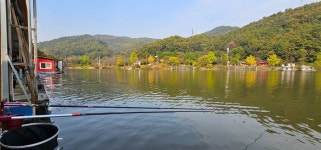 양평수곡낚시터 유료낚시터 > 시월 셋째주 양평 힐링 수곡낚시터 주중조황 및 주말 붕어대량방류, 지평전동발효축제 안내 : 낚시사랑