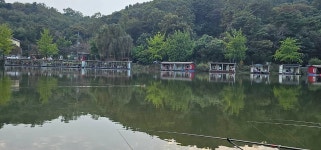 양평수곡낚시터 유료낚시터 > 시월 셋째주 양평 힐링 수곡낚시터 주중조황 및 주말 붕어대량방류, 지평전동발효축제 안내 : 낚시사랑