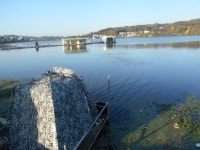 칠곡낚시터 유료낚시터 > 물이 뒤집어 지면서 조황이 살아나네요 : 낚시사랑