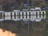 남전지기 유료낚시터 > 주말조황 및 방류소식 : 낚시사랑