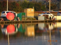 오빈낚시터 유료낚시터 > ～～～자리편차 없는 주말이었으며 현재 좋은조황 보이고 있습니다 ～～～ : 낚시사랑