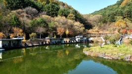 도장골낚시터 유료낚시터 > 가평 도장골낚시터 소식 : 낚시사랑