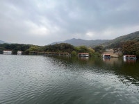 산들낚시터 유료낚시터 > 아산 산들낚시터의11월7일에 주말 모습 올립니다. : 낚시사랑