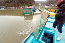 한터낚시터. 유료낚시터 > 한터 낚시터 2023년11월11일(토요일) 붕어 행어 대량 방류했습니다. : 낚시사랑