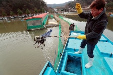 한터낚시터. 유료낚시터 > 한터 낚시터 2023년11월11일(토요일) 붕어 행어 대량 방류했습니다. : 낚시사랑