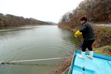 한터낚시터. 유료낚시터 > 한터 낚시터 2023년 11월17일(금요일) 붕어 행어 대량 방류했습니다. : 낚시사랑