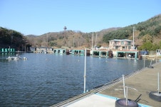 상덕낚시터 유료낚시터 > [상덕낚시터] 11월 3주차 이야기 - 용인 상덕 : 낚시사랑