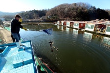 한터낚시터. 유료낚시터 > 한터 낚시터 송어 잡이 낚시터 운영 합니다 송어 향어 붕어 방류 했습니다 : 낚시사랑