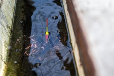 독정낚시터 유료낚시터 > 빙어 개장 안내 : 낚시사랑