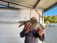 통삼낚시터 유료낚시터 > 겨울철 물대포 영업 합니다!!! 통삼낚시터~~!~!~~~!! : 낚시사랑