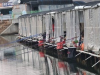 남전지기 유료낚시터 > 주말조황 및 방류소식 : 낚시사랑