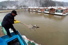 한터낚시터. 유료낚시터 > 한터 낚시터 2023 / 12 / 16 잡이터 송어 대량 방류했습니다 : 낚시사랑