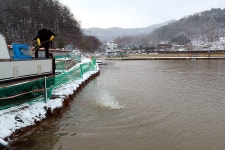한터낚시터. 유료낚시터 > 한터 낚시터 2023 / 12 / 16 잡이터 송어 대량 방류했습니다 : 낚시사랑