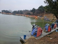 밤밭낚시터 유료낚시터 > 밤밭 12/22 크리스마스 조황안내 : 낚시사랑