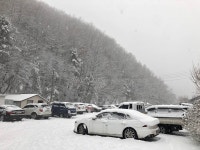 양평-대명낚시터 유료낚시터 > 12월30일[토] 눈폭퐁!! 낚시폭풍!! 500kg 방류중! [향어,메기] : 낚시사랑