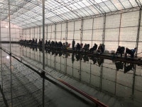 양평-대명낚시터 유료낚시터 > 01월06일[토] 향어+메기+장어 하우스낚시 잡이터 : 낚시사랑