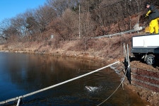 한터낚시터. 유료낚시터 > 2024 / 01 /06 송어 대량 방류했습니다 : 낚시사랑