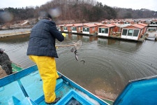 한터낚시터. 유료낚시터 > 한터 낚시터 2024 / 02 / 0 3 토요일 송어 대량 방류했습니다 : 낚시사랑
