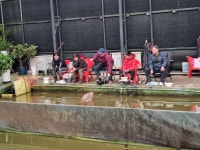 삼하낚시터 유료낚시터 > # 하우스낚시 17추차입니다. ## : 낚시사랑