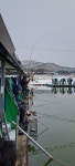 마전낚시공원 유료낚시터 > 궂은 날씨에도 빛을 발한 조황 : 낚시사랑