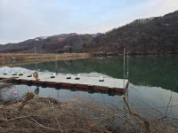 구백암낚시터 유료낚시터 > [구백암 낚시터] 님도 보고 뽕도 따는 화요 이벤트... : 낚시사랑