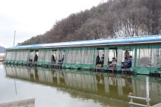 상덕낚시터 유료낚시터 > [상덕낚시터] 2월 4주차 이야기 - 용인 상덕 : 낚시사랑