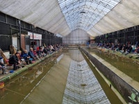 삼하낚시터 유료낚시터 > ## 삼일절 연휴 ## : 낚시사랑