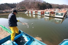한터낚시터. 유료낚시터 > 한터 낚시터 2024년 03월 02 일 송어 방류했습니다 : 낚시사랑