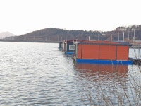 성호낚시터 유료낚시터 > 멋진찌올림 조황정보 성호낚시터. : 낚시사랑