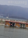 쌍방죽낚시터 유료낚시터 > 쌍방죽 조황 소식 : 낚시사랑