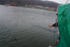 고담낚시터 유료낚시터 > 24년도 시작부터 붕어100수 2명 성공 : 낚시사랑
