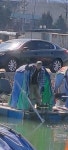 마전낚시공원 유료낚시터 > 쭈욱 이어지는 호조황!! : 낚시사랑