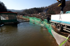 한터낚시터. 유료낚시터 > 한터 낚시터 1 /2 / 3호지 향어 송어 대량 방류했습니다 : 낚시사랑