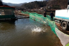 한터낚시터. 유료낚시터 > 한터 낚시터 1 /2 / 3호지 향어 송어 대량 방류했습니다 : 낚시사랑