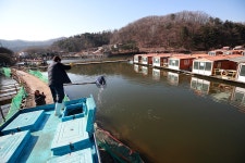 한터낚시터. 유료낚시터 > 한터 낚시터 1 /2 / 3호지 향어 송어 대량 방류했습니다 : 낚시사랑