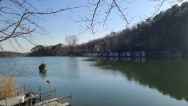 양평수곡낚시터 유료낚시터 > 초봄시즌 붕어낚시 힐링 수곡낚시터 붕어마릿수가 늘어나네요 펜션 개장 및 붕어방류 안내 : 낚시사랑