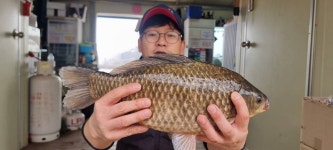 고삼지 양촌 유료낚시터 > 고삼지 주중 손맛 봅니다. : 낚시사랑