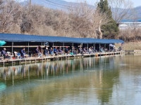 삼하낚시터 유료낚시터 > ## 물낚시 개장 2주차 ## : 낚시사랑