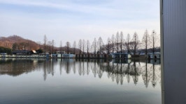 안성 거청낚시터 유료낚시터 > 3월 24일 거청낚시터 조황 : 낚시사랑