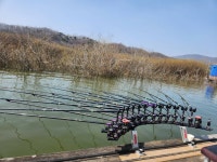 고삼지 양촌 유료낚시터 > 고삼지 포근한 날씨 붕어 조황입니다. : 낚시사랑