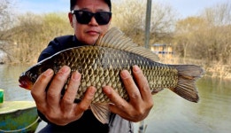 미성좌대 유료낚시터 > 송전지 미성좌대 마릿수 조황 : 낚시사랑