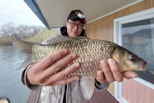 서울좌대 유료낚시터 > 서/울/좌/대 조황 : 낚시사랑