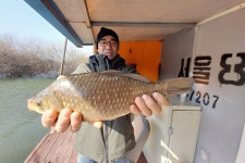 서울좌대 유료낚시터 > 서/울/좌/대 조황 : 낚시사랑
