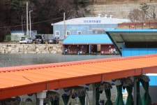 초원낚시터 유료낚시터 > ***포천 초원낚시터 조황소식*** : 낚시사랑