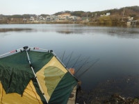 칠곡낚시터 유료낚시터 > 강풍으로 낚시를 할수가 없네요 그레도 4짜는 나오네요 : 낚시사랑