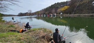 양평수곡낚시터 유료낚시터 > 초봄 붕어낚시 힐링 수곡낚시터 개장기념품 증정, 붕어 방류 및 조황 안내 : 낚시사랑