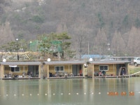 대석낚시터 유료낚시터 > 연속 3번 100수 조사님.. : 낚시사랑