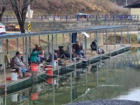 남전지기 유료낚시터 > 주중조황 및 방류소식 : 낚시사랑